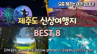 제주 여행, 제주 신상 떠오르는 핫한 여행지 정보 루나폴, 노을해안로, 송당무끈모루, 소천지, 플로웨이브, 서울앵무새 제주점, 야크마을, 엠버퓨어힐 호텔&리조트 제주 여행 갈만한 곳 정보