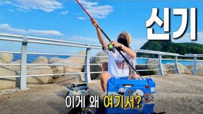 동해 원투 낚시 갈만한 곳, 울진 기성항 방파제 도보 낚시,원투 낚시 포인트 및 조황 정보