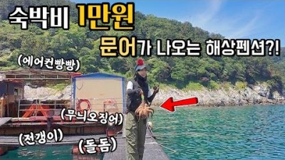 통영 해상펜션 좌대 낚시 가볼만한 곳, 통영 연화도 좌대 낚시, 문어낚시 갈만한 곳 정보