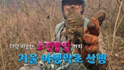 겨울 약초 산행, 