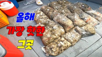 쭈꾸미 낚시 군산 선상(에르메스호) 쭈꾸미 낚시 채비 및 조황 정보