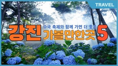 6월 여행, 전남 해남, 강진 여행 가볼만한 곳,해남 수국축제 포레스트수목원, 강진 다산초당, 강진만생태공원, 다향소축, 가우도, 마량항,수국축제,수국명소 6월 갈만한곳 정보