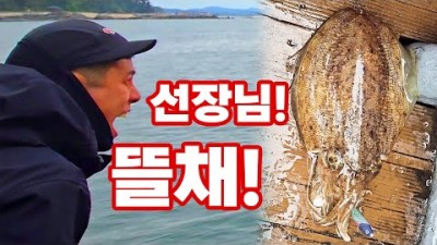 대천항 선상 갑오징어 낚시 할만한 곳, 대천항 양파호 선상 낚시 갑오징어 낚시 조황 정보