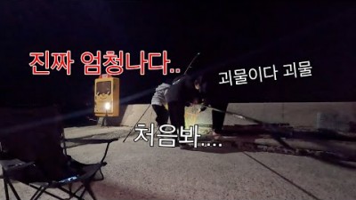전남 강진권 방파제 낚시 할만한 곳, 강진권 방파제 낚시 포인트 및 조황 정보