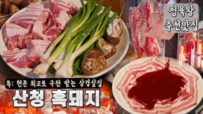 서울 강서구 삼겹살 맛집 가볼만한 곳, 22년 최고의 삼겹살 맛집을 극찬 받는 발산역 맛집 산청숯불가든 갈만한 곳 정보