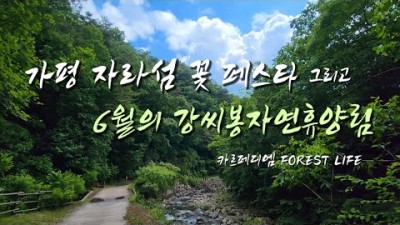 가평 자라섬 꽃 페스타 데이트 코스 가족 나들이 가볼만한 곳, 6월 여행 가볼만한 곳 가평 강씨봉자연휴양림 갈만한 곳 정보
