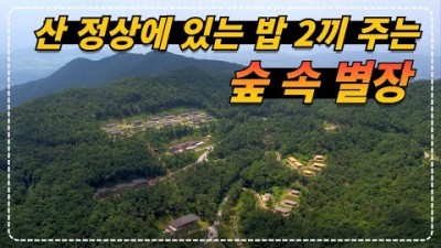 충북 보은 속리산 숲체험 휴양마을 한옥, 향토방, 통나무집, 수영장 갖추고 1박에 맛있는 2끼 식사 가능한 가성비 숲속 별장 민박 가볼만한 곳 속리산 숲체험 휴양마을 갈만한곳 정보
