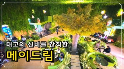 꼭 가봐야할 카페 추천 서울근교 인천 영종도 신상카페 메이드림 신비로운 숲 컨셉의 대형 브런치 복합 문화공간 카페  갈만한 곳 정보