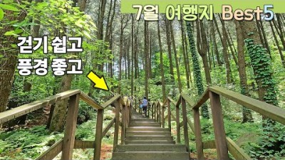 7월 여행지 시원한 계곡과 푸른 숲 멋진 풍경이 좋은 트레킹 가볼만한 곳 추천(홍천 수타사계곡, 가평 잣향기푸른숲, 인제 십이선녀탕계곡,원주 구룡사 황장목숲길, 설악산 주전골)정보