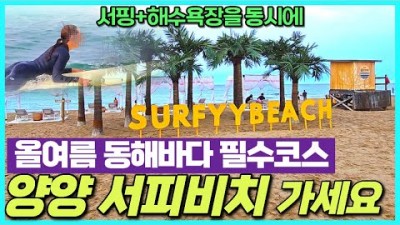 동해 최고의 서핑존 강원도 양양 서피비치 갈만한 곳 정보
