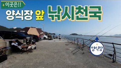 민언 낚시 전남 해남 송호해수욕장 발판좋고 화장실 있는 민어, 수조기 마리수 가능한 포인트 채비 및 조황 정보