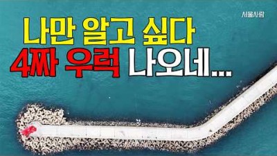 신진항 신진도 방파제 낚시 포인트 및 조황 정보, 신진도 도보 낚시 우럭낚시 포인트 및 조과 정보