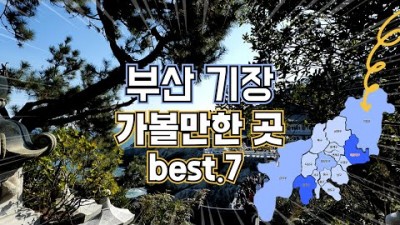 부산 여행 기장 여행 가볼만한 곳, 부산 기장 여행 핫한 인기 여행지 추천 7곳, 해동용궁사, 죽성드림성당세트장,카페 코랄라니, 국립수산과학관, 호타루라멘, 오랑대공원, 조방국밥 부산기장여